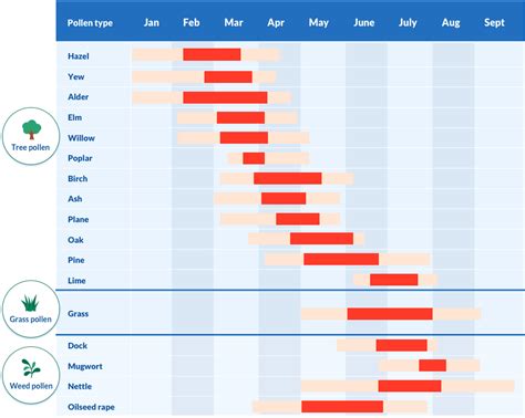 sinus forecast|pollen report for my area.